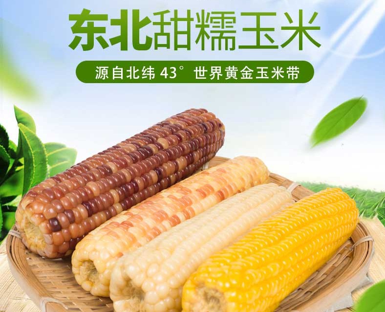 真空糯玉米介紹