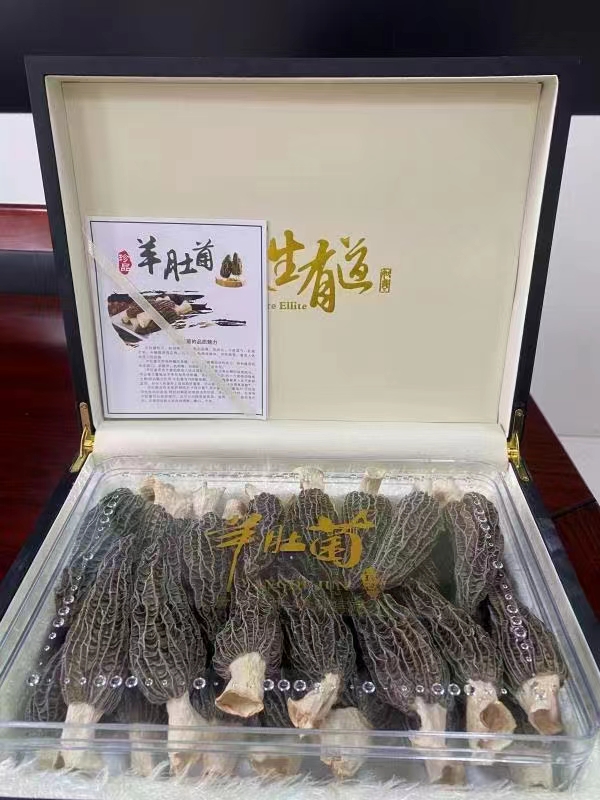 微信圖片_20231109165334.jpg 微信圖片_20231109165334.jpg